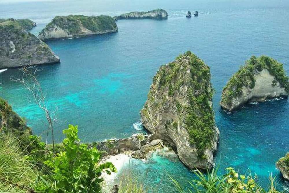 Photo of Others in Penida Island