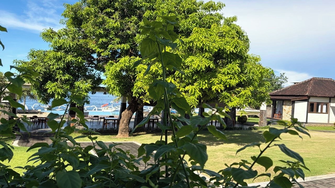 Photo of Outdoor in Tulamben