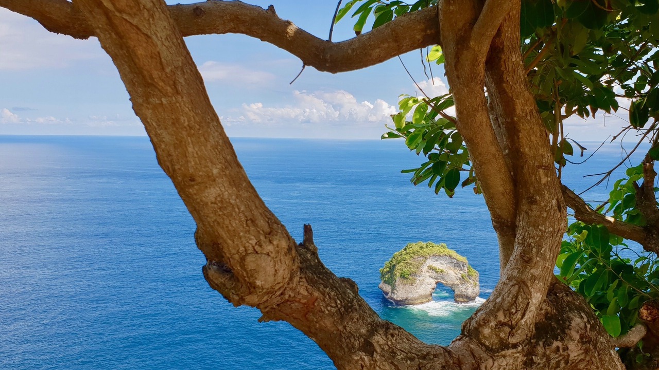 Photo of Others in Penida Island