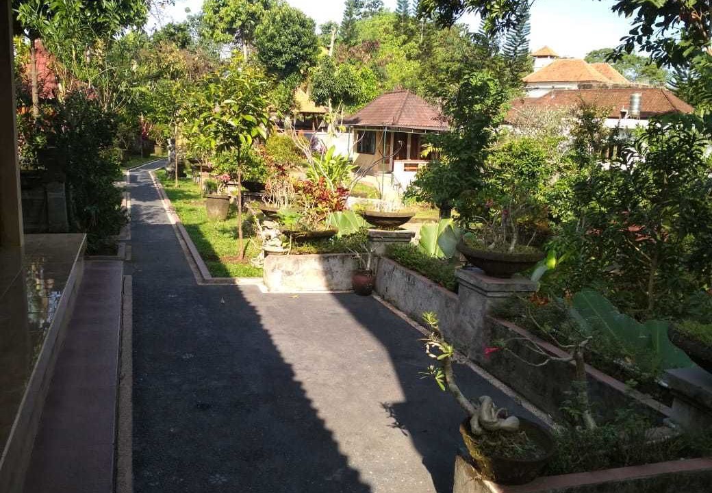 Photo of Outdoor in Singapadu Tengah