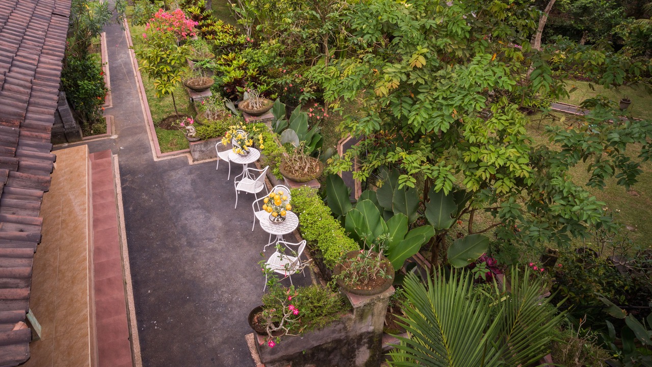 Photo of Outdoor in Singapadu Tengah