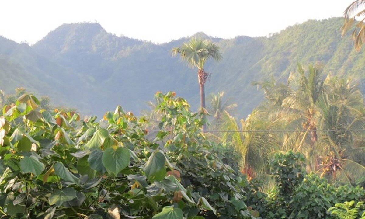 Photo of Outdoor in Purwakerti