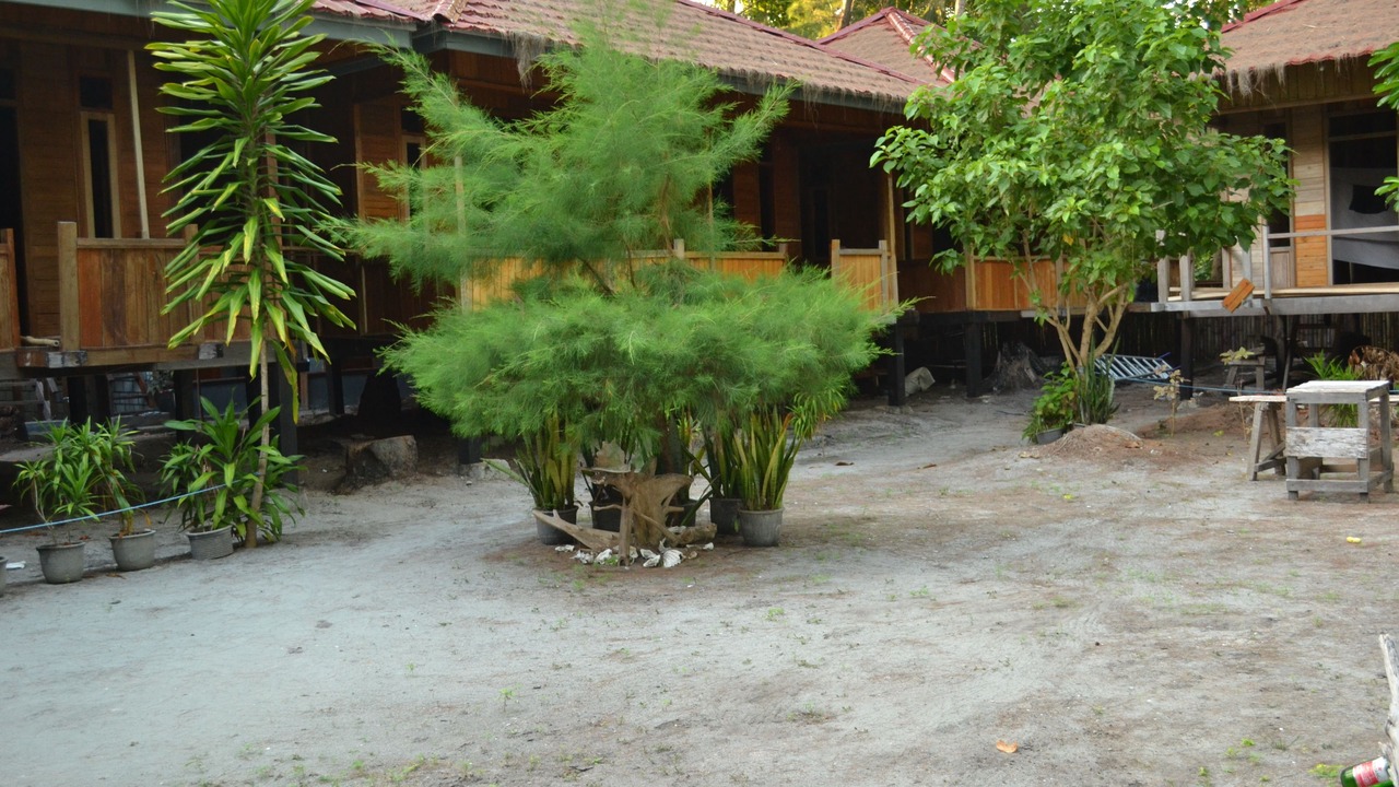 Photo of Others in Hoga Island