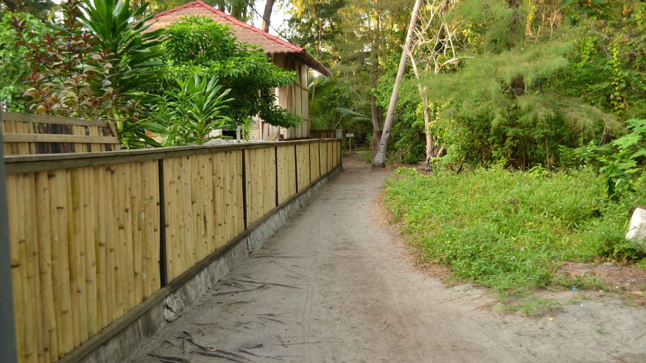 Photo of Outdoor in Hoga Island
