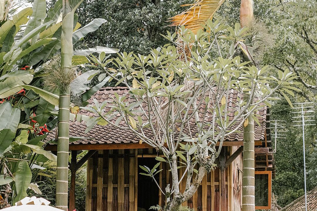 Photo of Outdoor in Payangan