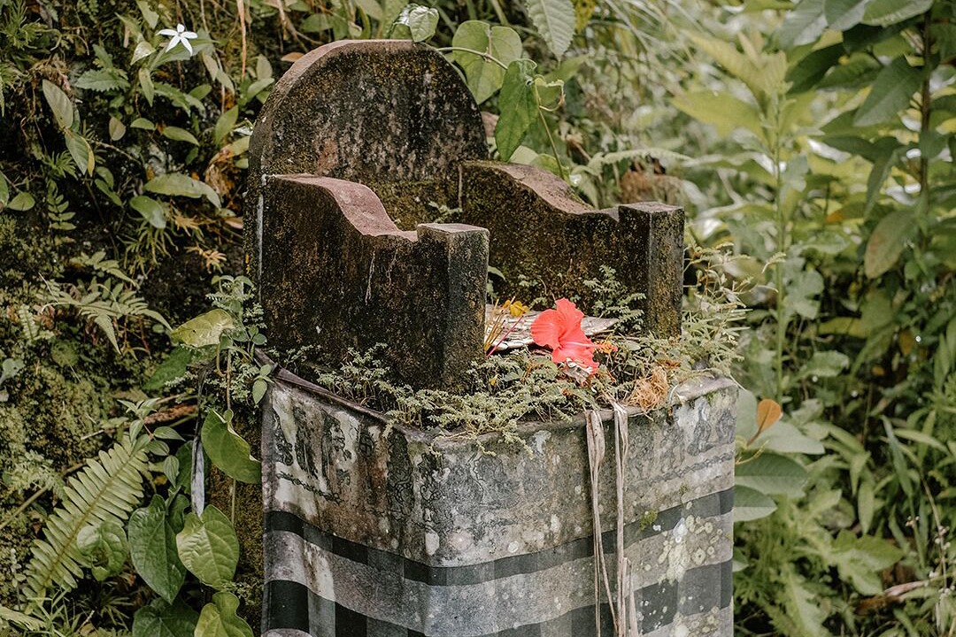 Photo of Outdoor in Payangan