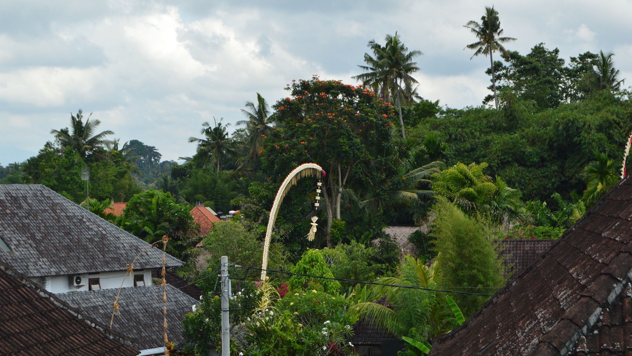 Photo of Outdoor in Kutuh Kaja