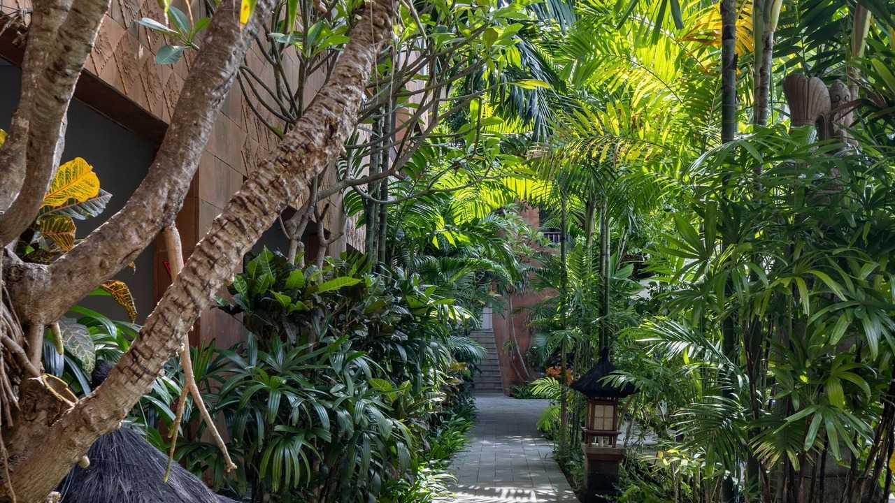 Photo of Outdoor in Sanur Kauh