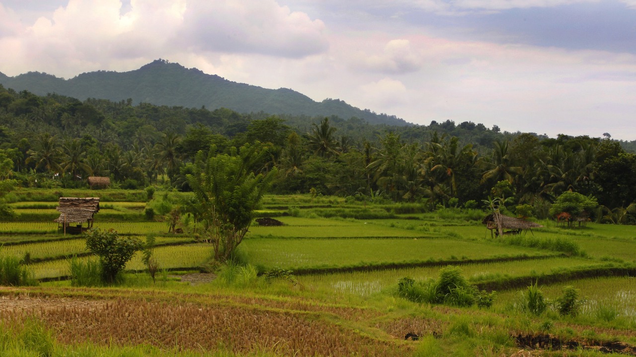 Photo of Others in Manggis