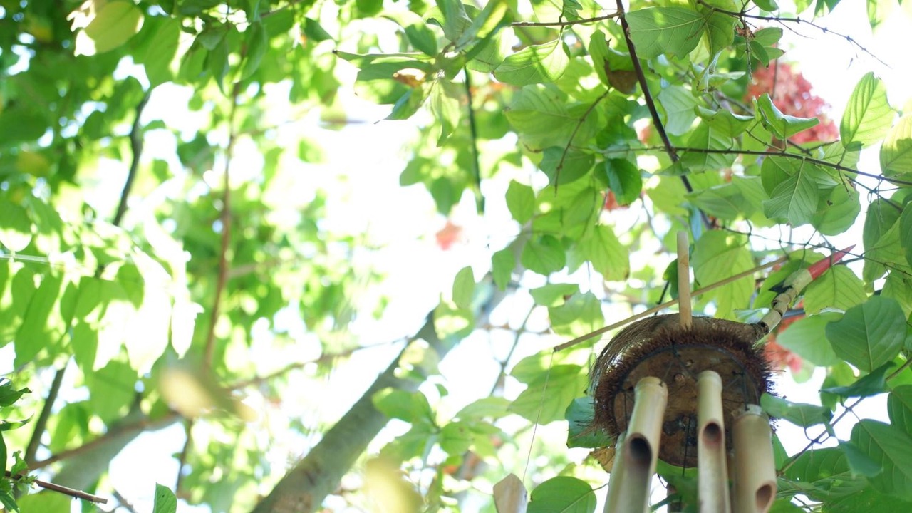 Photo of Outdoor in By Pass Ngurah Rai
