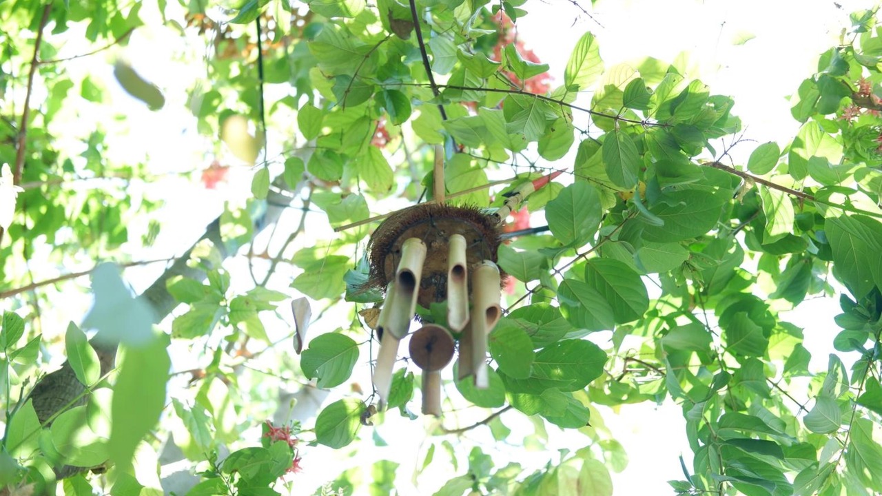 Photo of Outdoor in By Pass Ngurah Rai