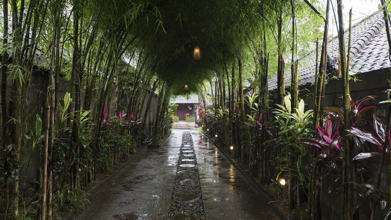 Photo of Outdoor in Peliatan