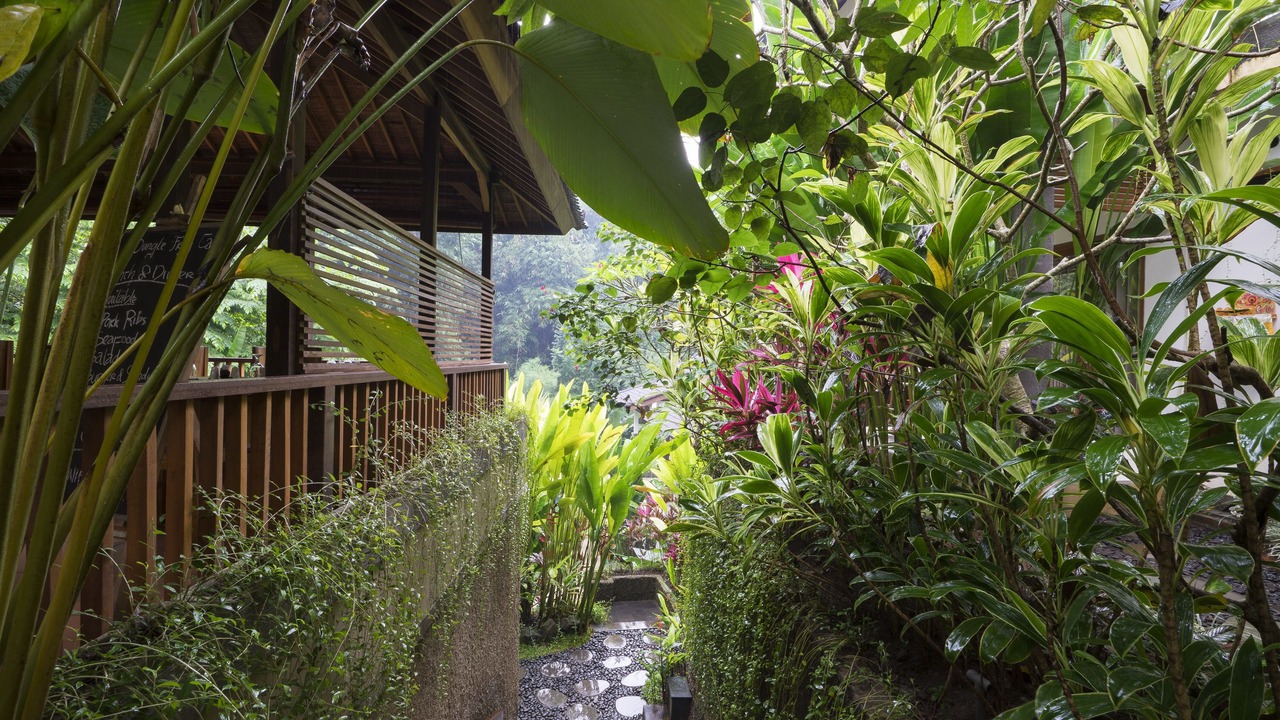 Photo of Outdoor in Peliatan