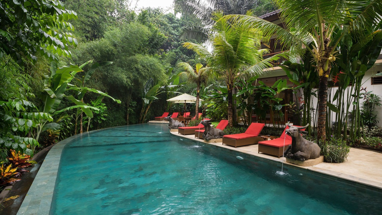 Photo of Outdoor in Peliatan