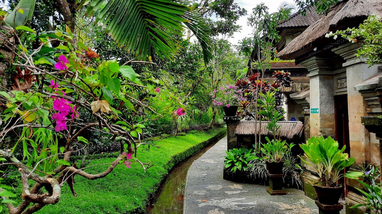 Photo of Outdoor in Nyuh Kuning