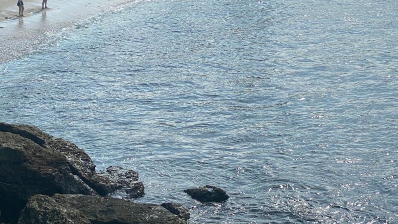 Photo of Others in Mushroom Bay