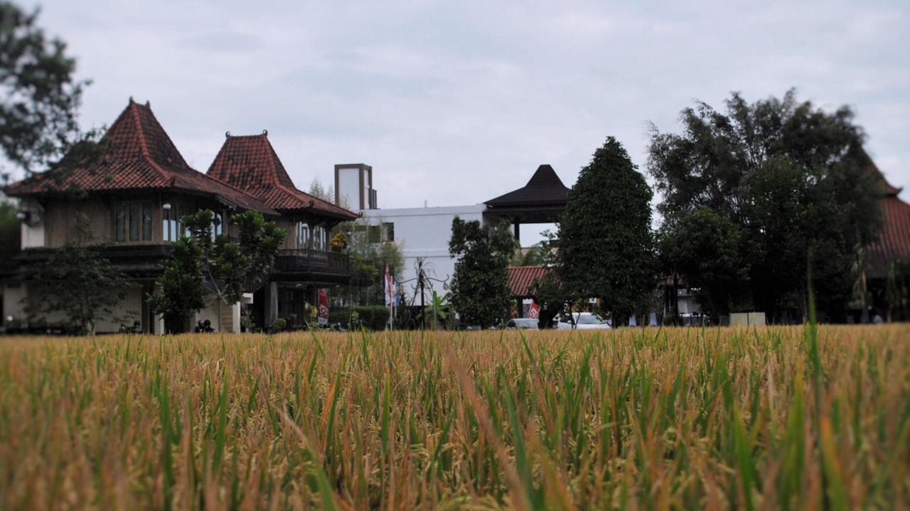 Photo of Outdoor in Ngaglik