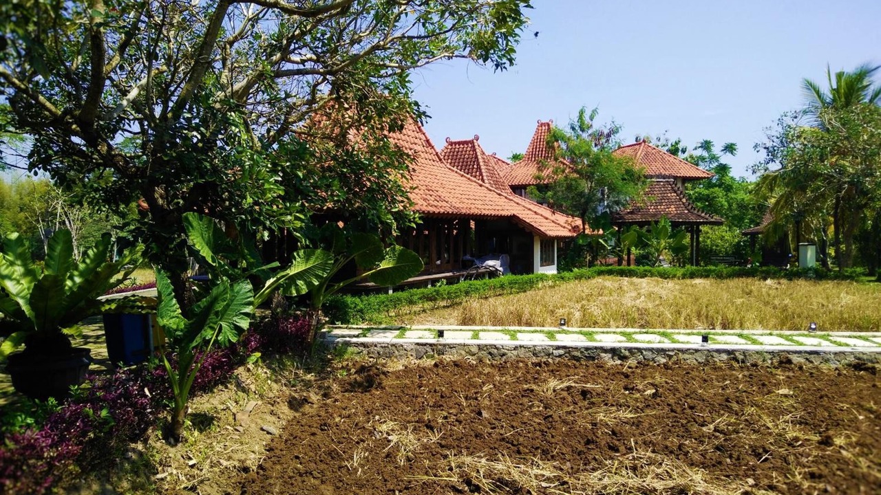Photo of Outdoor in Ngaglik