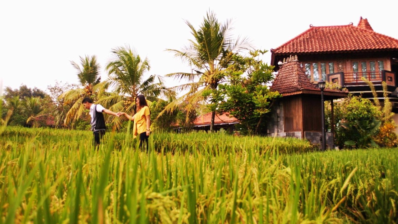 Photo of Outdoor in Ngaglik