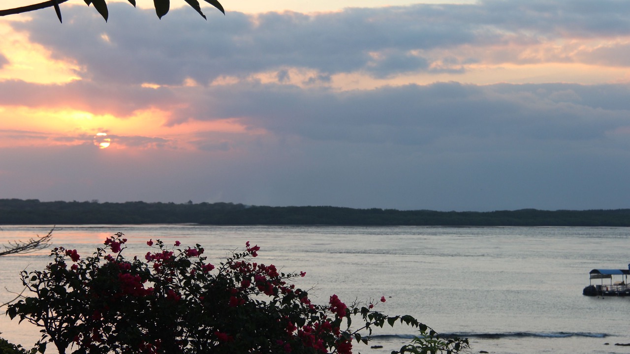 Photo of Outdoor in Penida Island