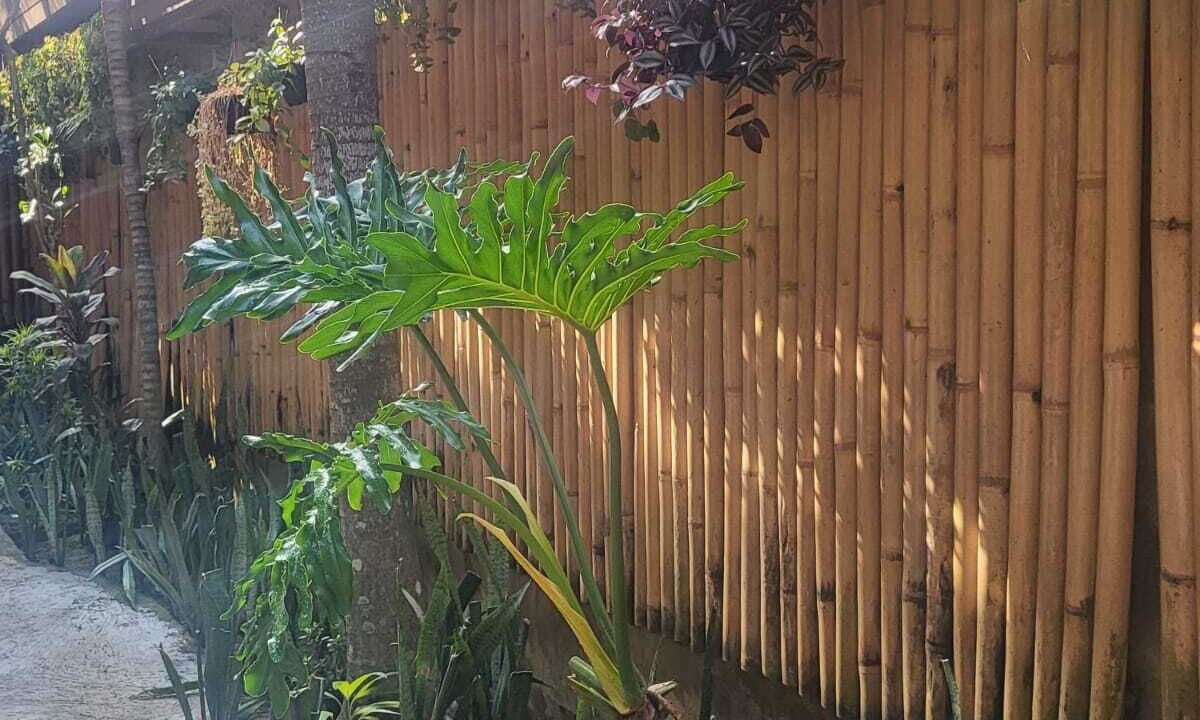Photo of Outdoor in Pengosekan