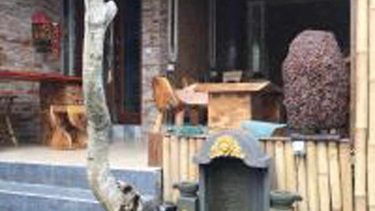 Photo of Others in Pengosekan