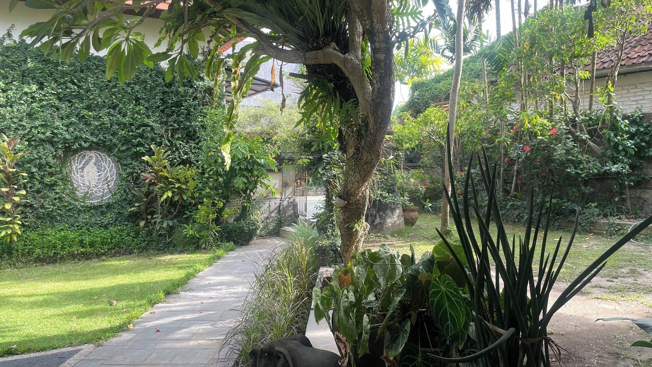 Photo of Outdoor in Batubulan