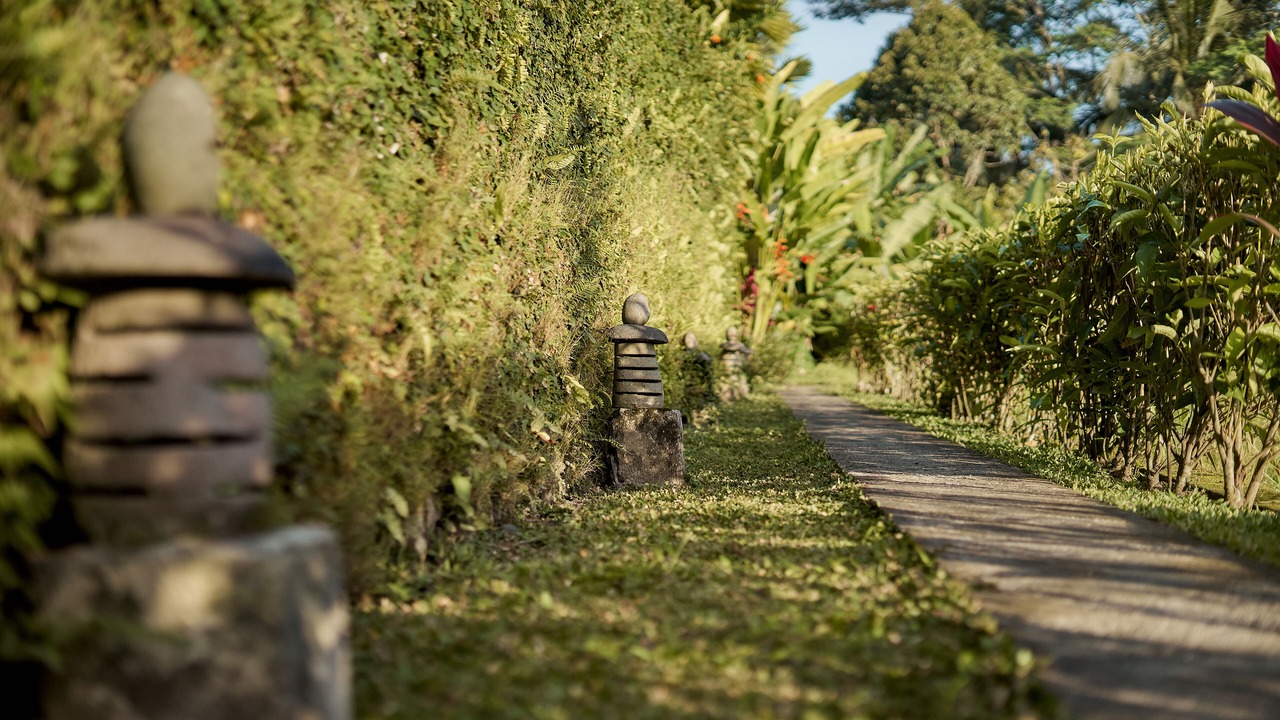 Photo of Outdoor in Petulu