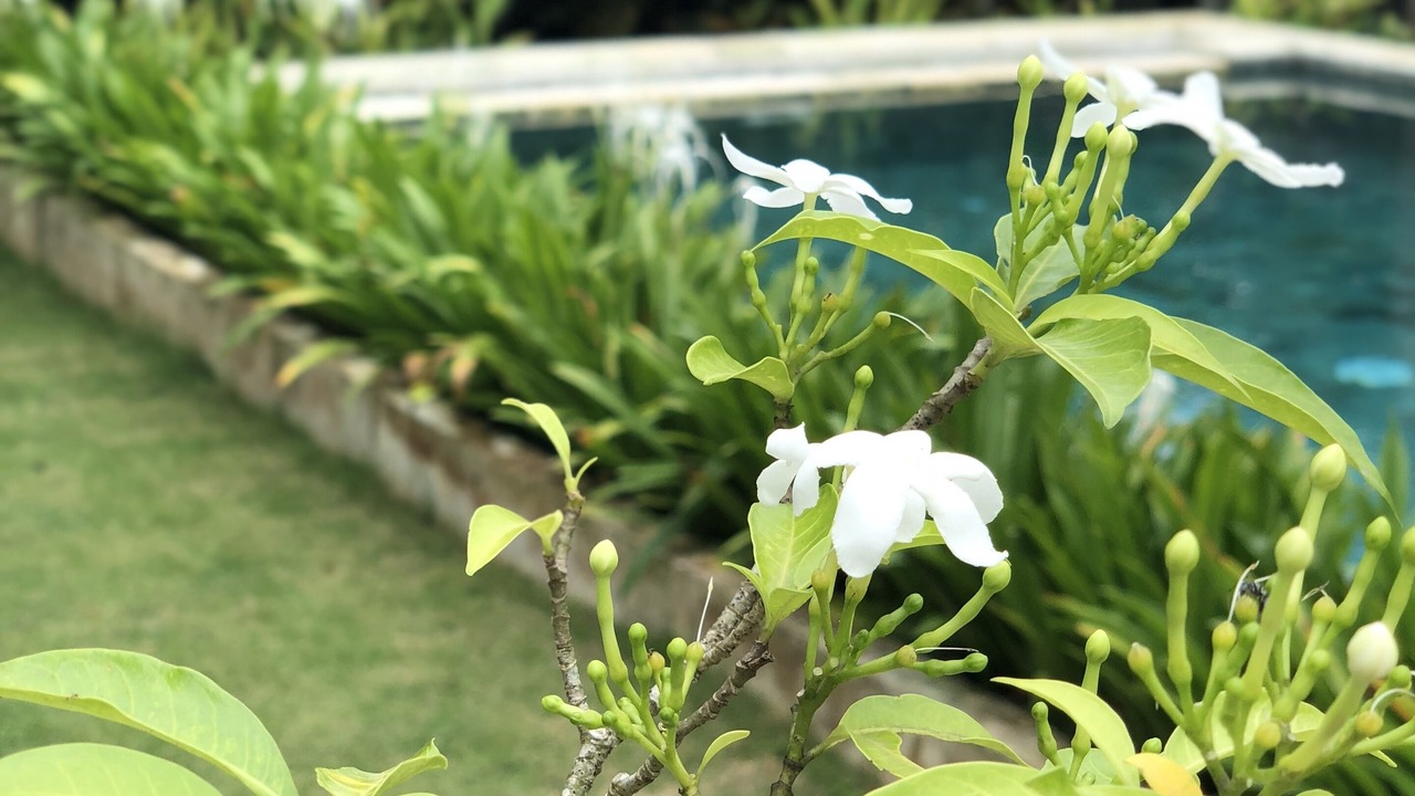 Photo of Outdoor in Bukit