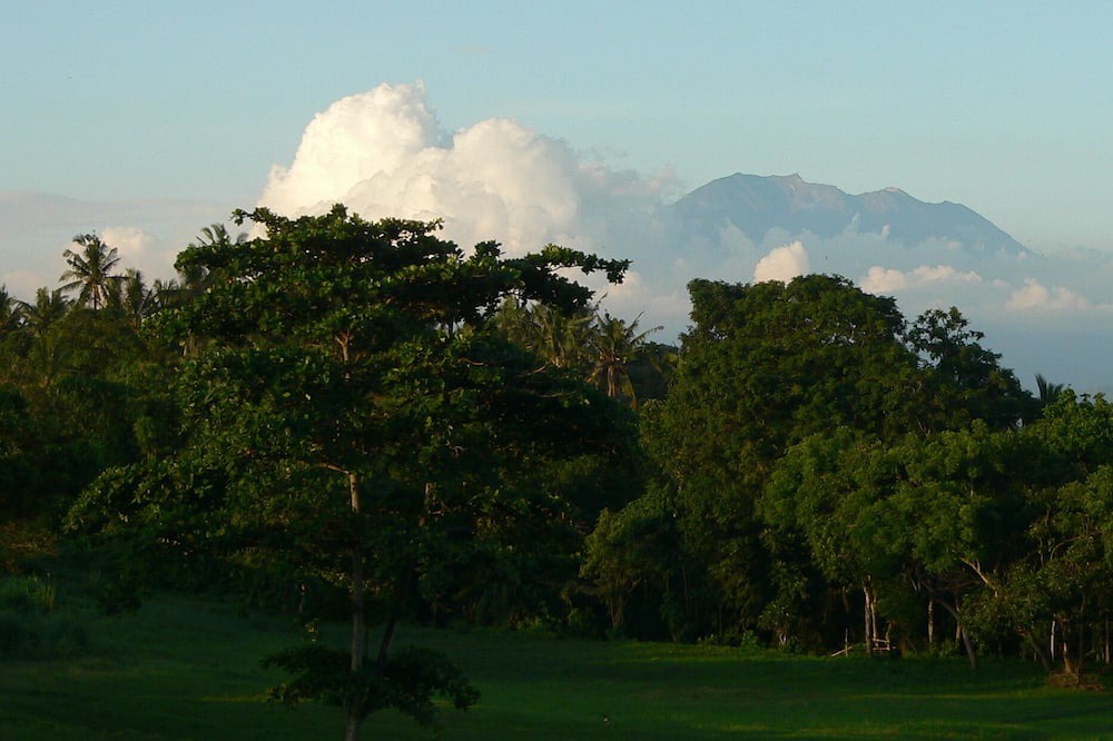 Photo of Outdoor in Saba