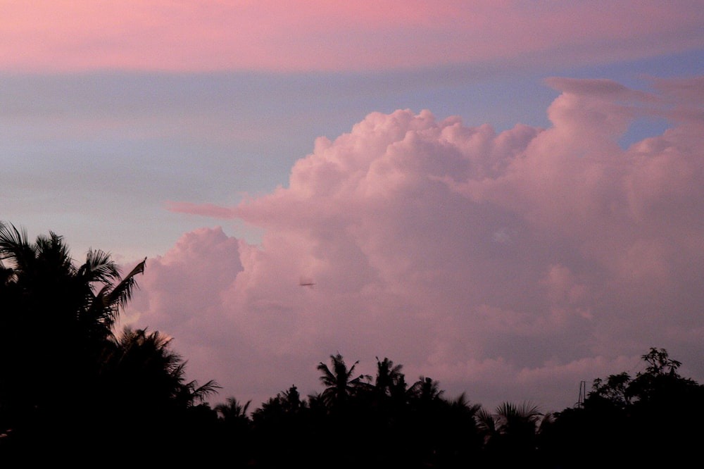 Photo of Outdoor in Saba