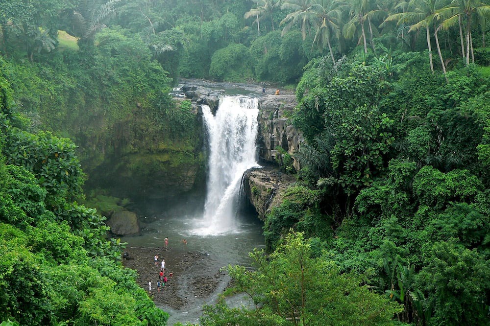Photo of Outdoor in Saba