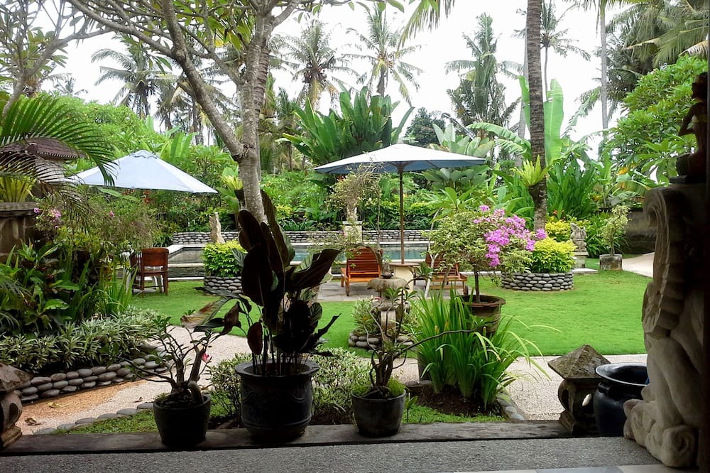 Photo of Outdoor in Saba