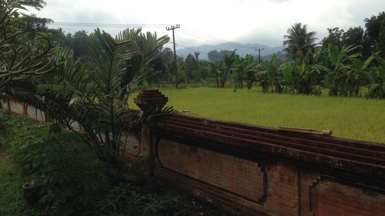 Photo of Outdoor in Selat