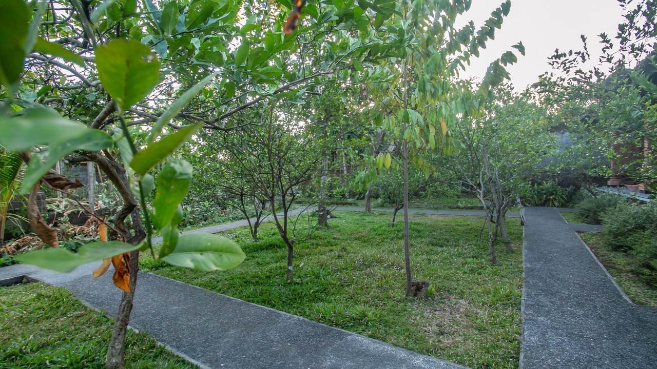 Photo of Outdoor in Pejeng