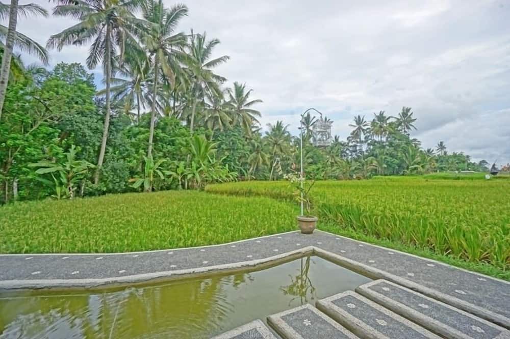 Photo of Others in Kutuh Kaja