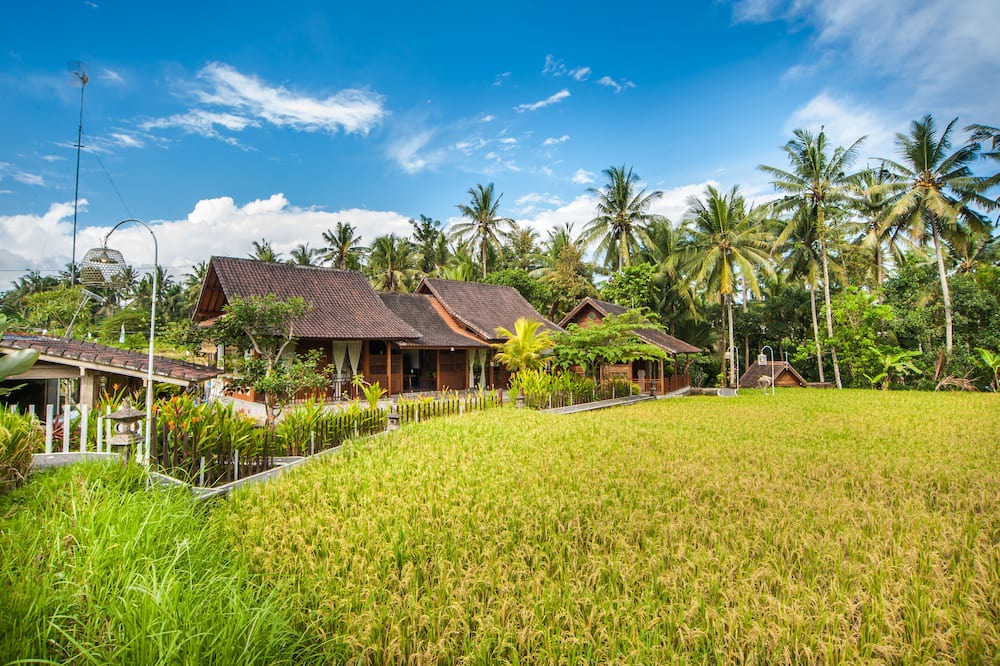 Photo of Others in Kutuh Kaja