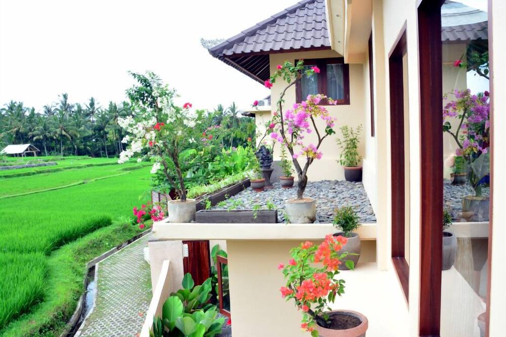 Photo of Outdoor in Ubud City-Centre