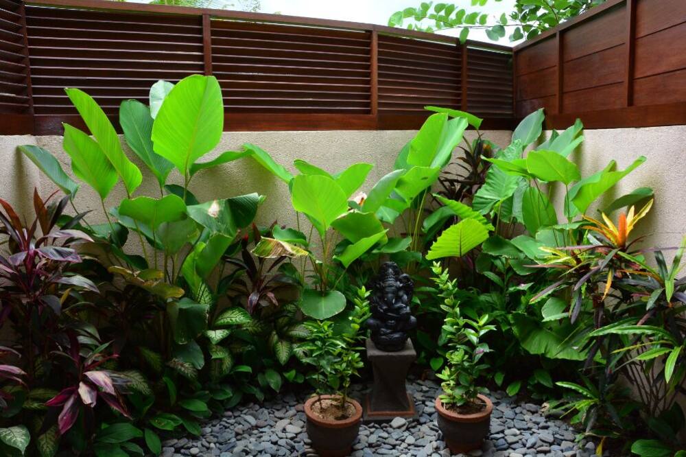 Photo of Outdoor in Ubud City-Centre