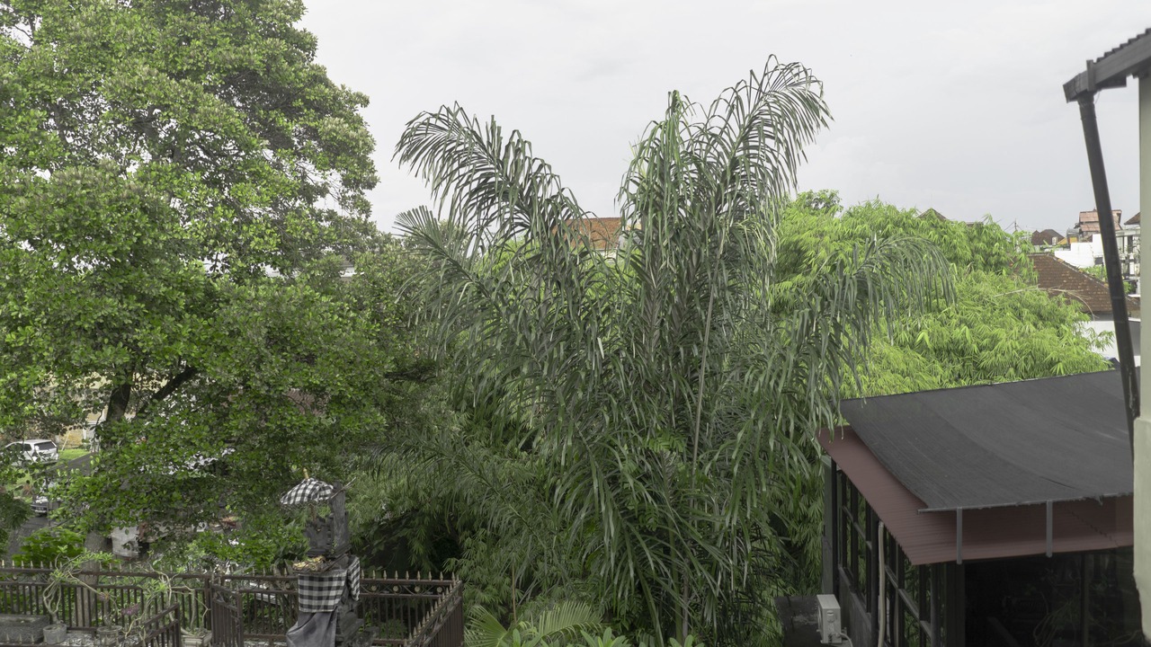 Photo of Outdoor in Dalung