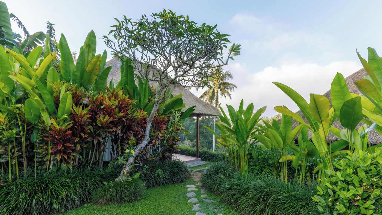 Photo of Outdoor in Payangan