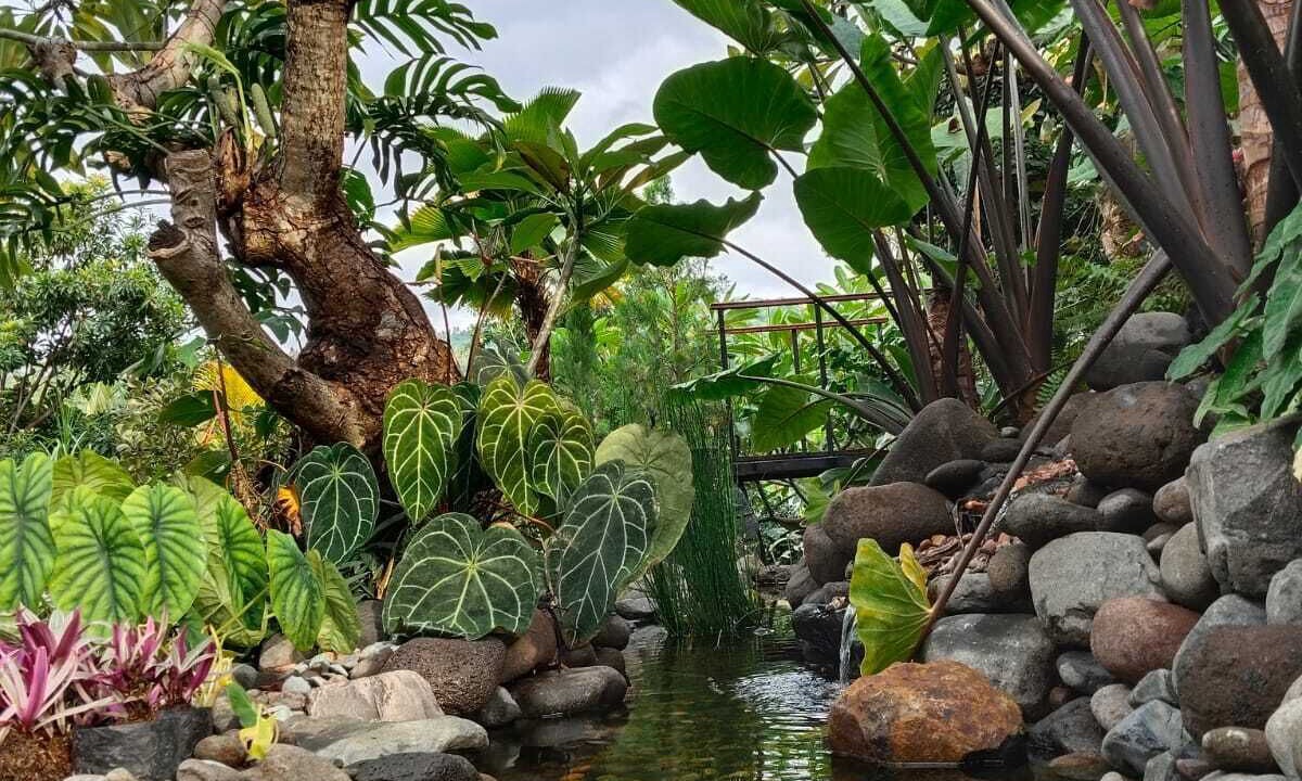 Photo of Outdoor in Banjartegehe
