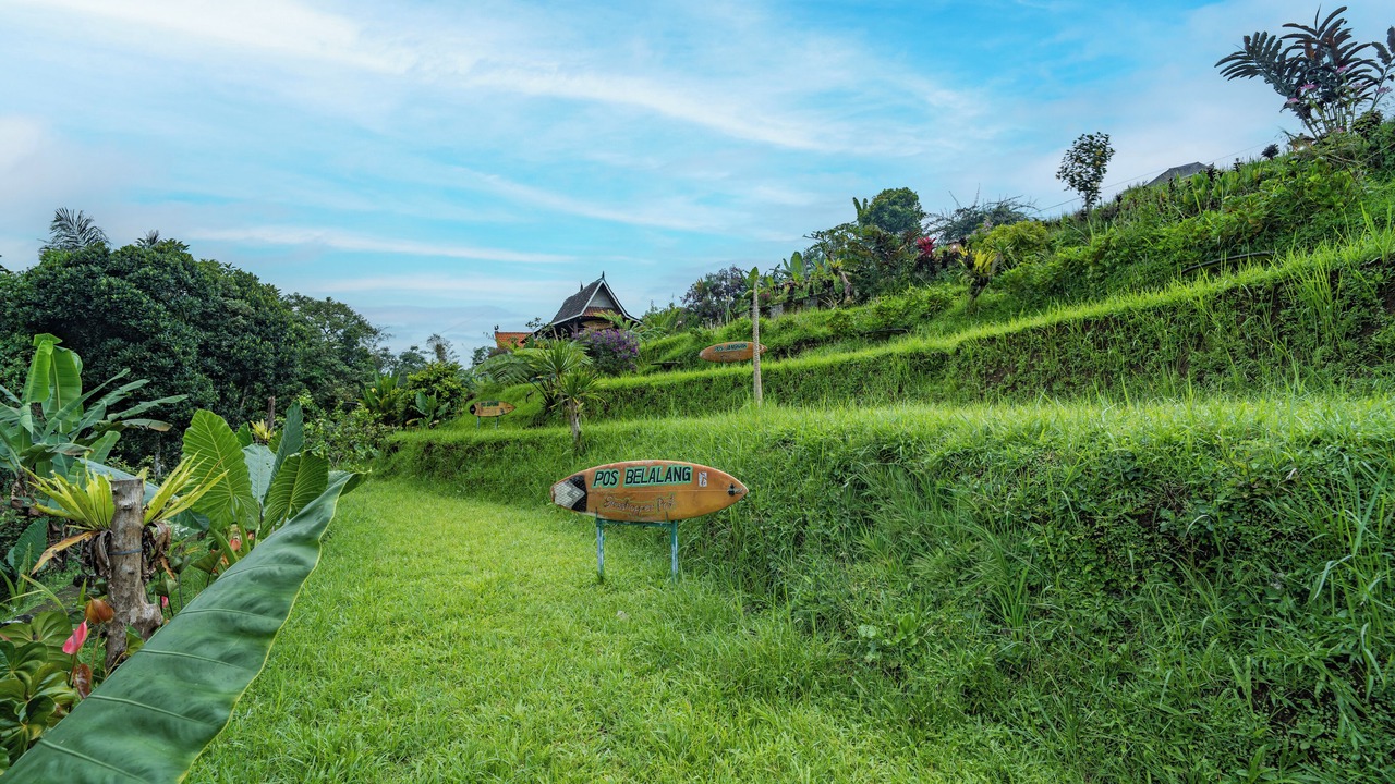 Photo of Outdoor in Penebel