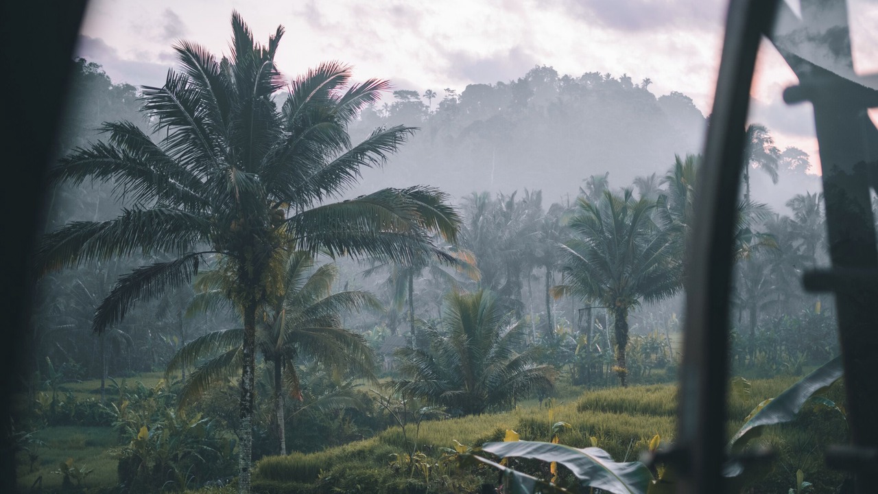 Photo of Outdoor in Selat