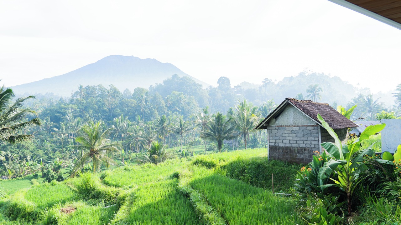 Photo of Outdoor in Selat