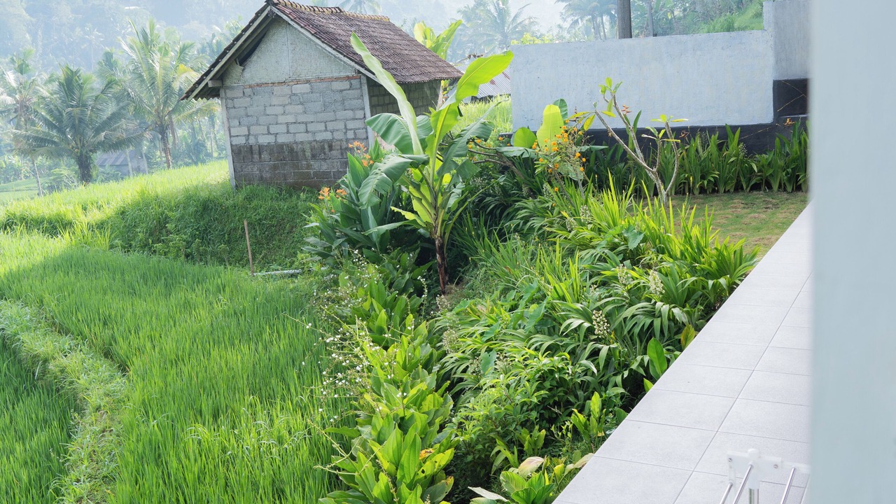 Photo of Outdoor in Selat