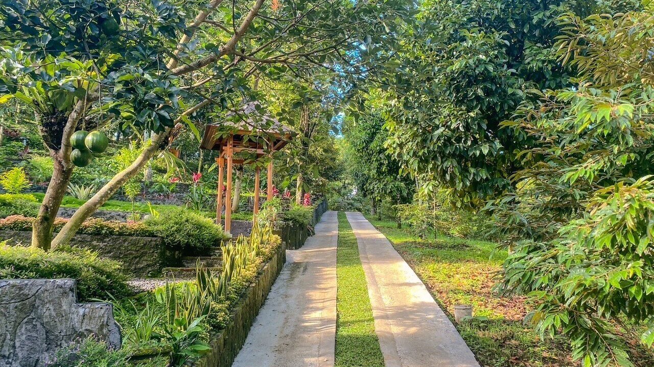 Photo of Outdoor in Munduk