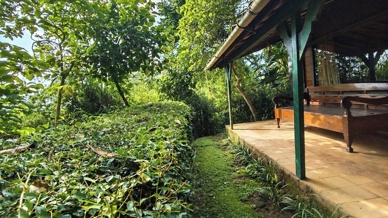 Photo of Outdoor in Lembang
