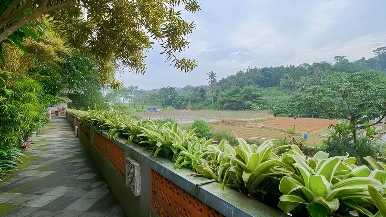 Photo of Others in Megamendung