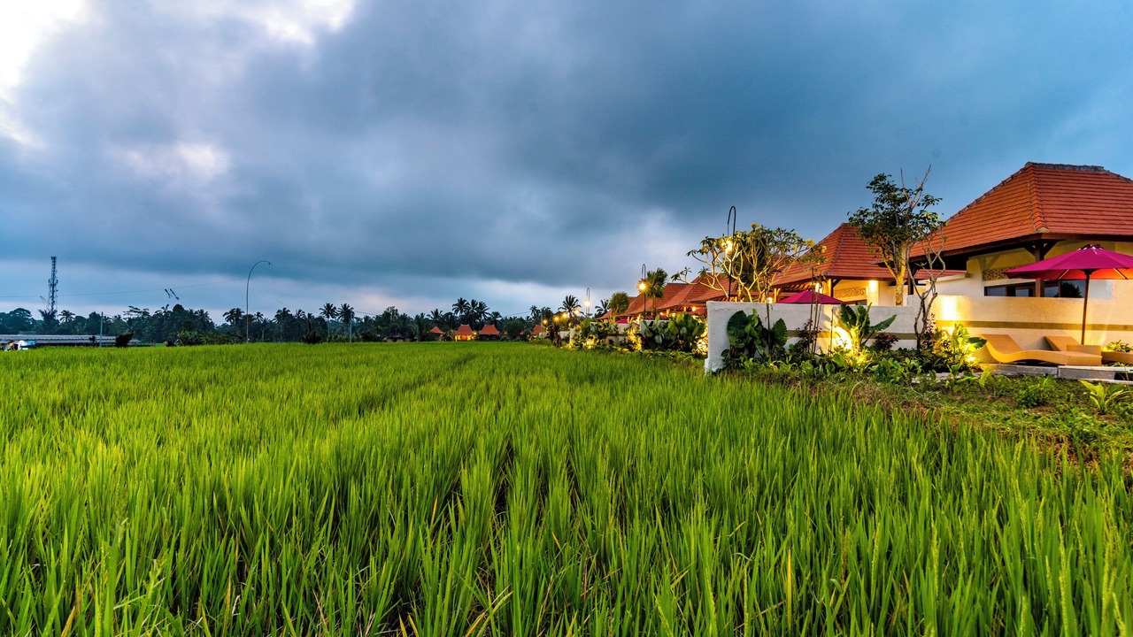 Photo of Outdoor in Sebatu